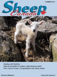 Sheep Canada - Summer 2011
