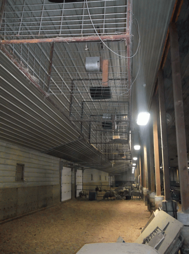 Sheep Canada magazine: Cables allow the pens to be raised up against the ceiling (right) when not in use.