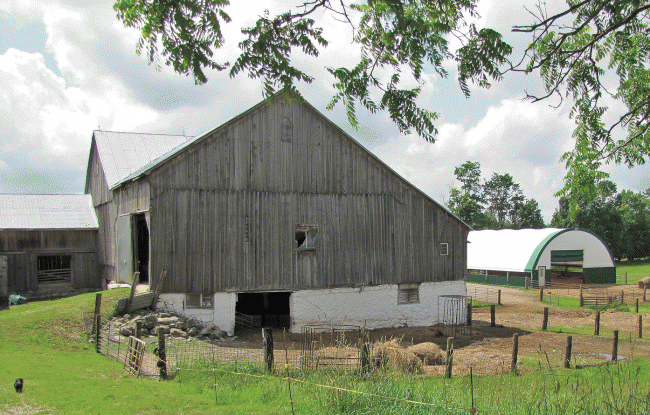 WD-barns