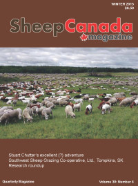 Sheep Canada Winter 2015 lo res 1