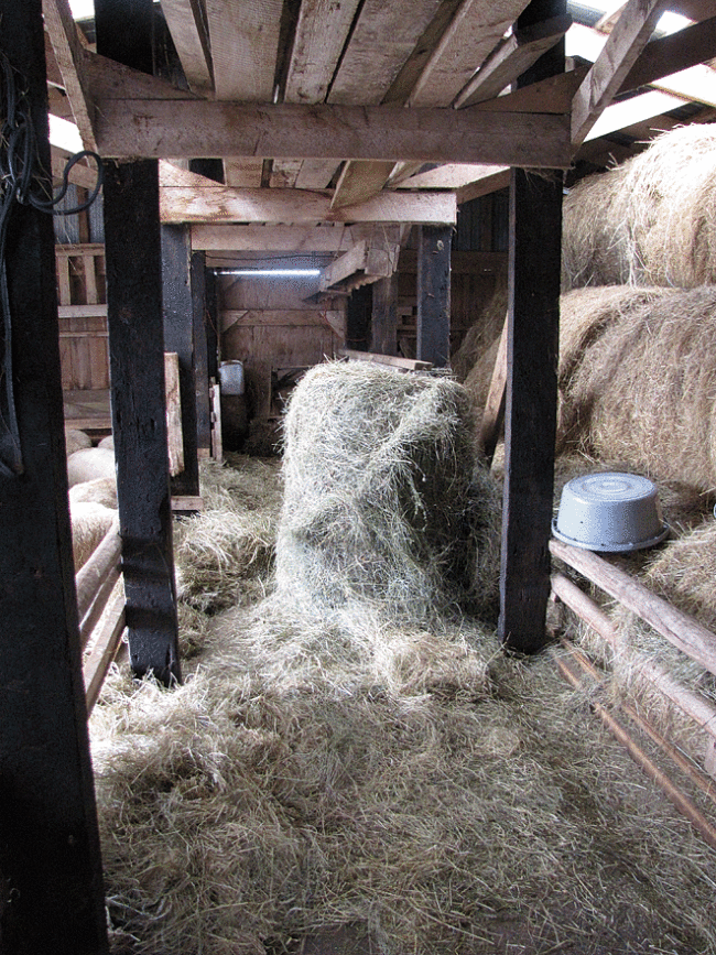 hay-alley-inside