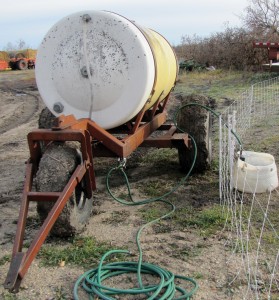 Stefan spends many hours moving the water supply from pasture to pasture.
