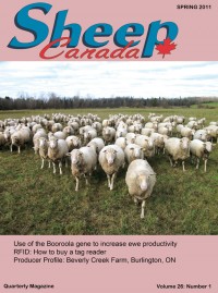 Sheep Canada - Spring 2011