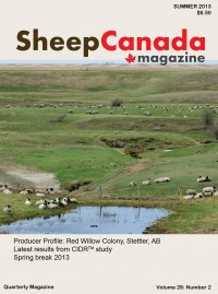 Sheep Canada - Summer 2013
