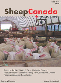Sheep Canada :Summer 2014