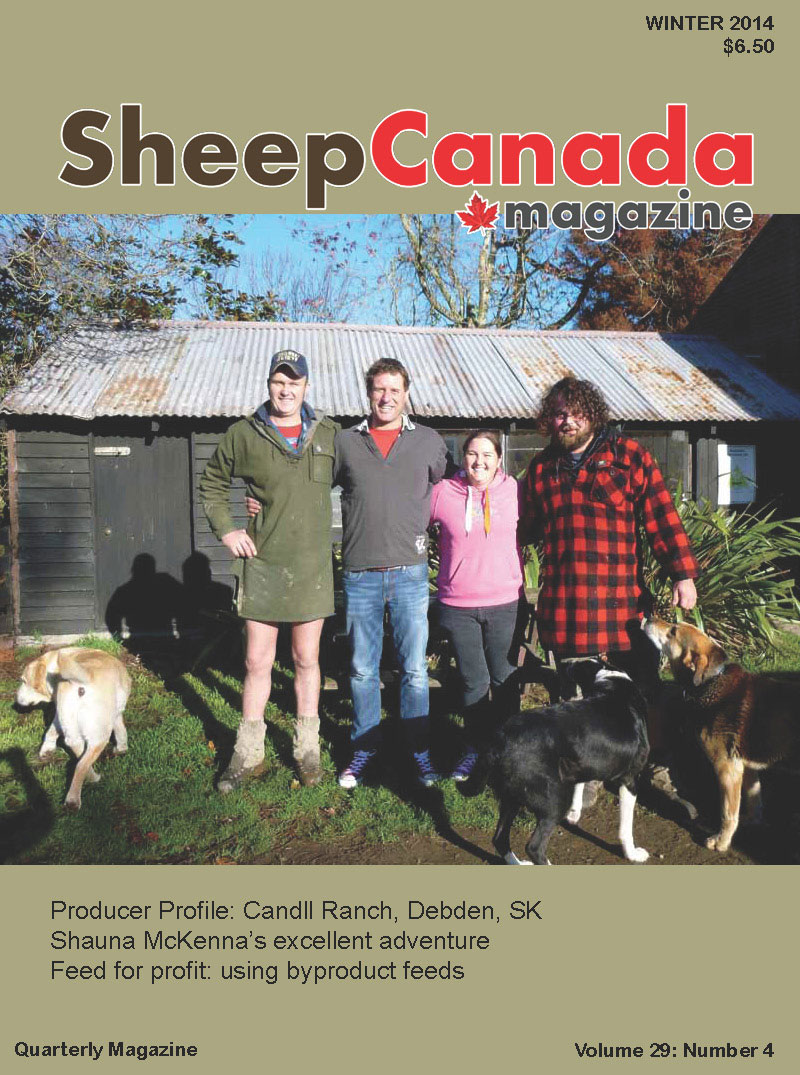 Sheep Canada :Summer 2014