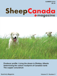 Sheep Canada: Summer 2016